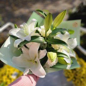 Blanche Élégance