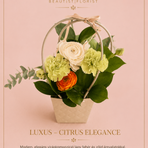 Citrus Elegance
