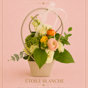 Etoile Blanche
