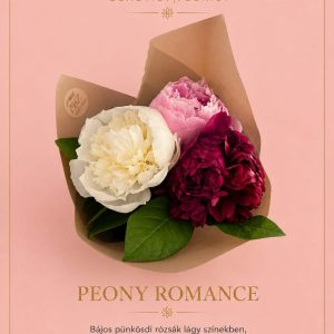 Peony romance