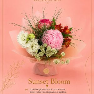 Sunset Bloom